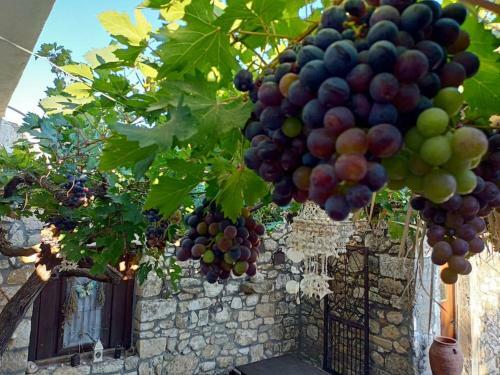 Traditional Creta Stone House In Serenity Village