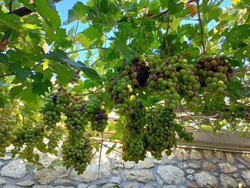 Traditional Creta Stone House In Serenity Village