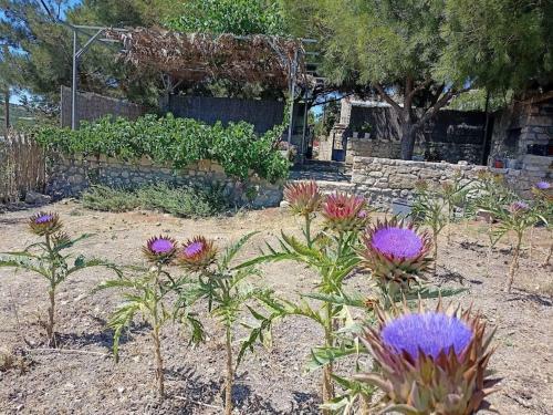 Traditional Creta Stone House In Serenity Village