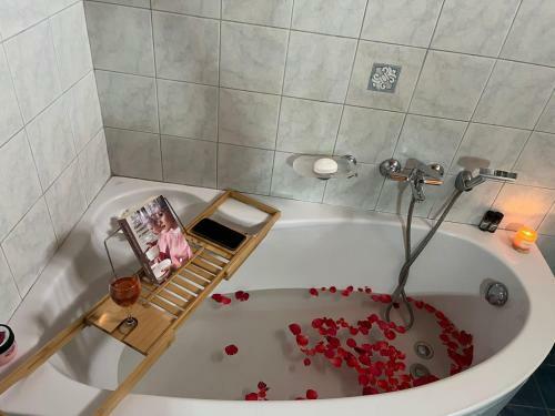 Hotel Deep Blue Villas