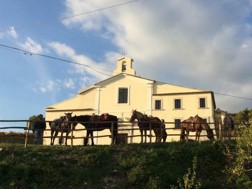 B&B Tramonti