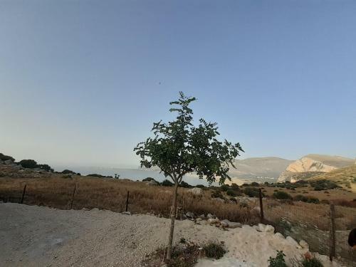 Apartamento La Casa Di Cofano