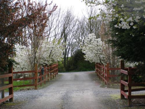 Bed & Breakfast Killurin Lodge