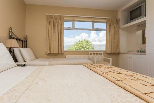 Fern Rock Bed And Breakfast