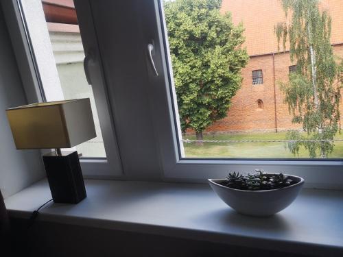 Apartamento Legata