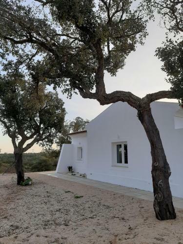 Villa Monte Vale Manhas