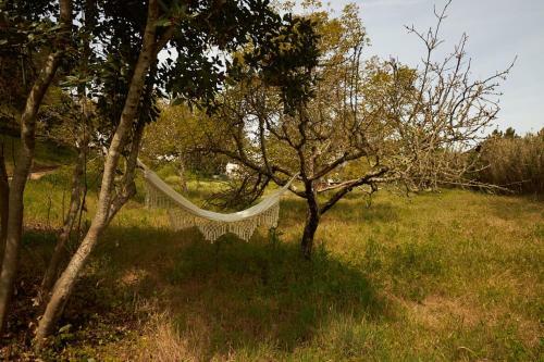Villa Quinta Do Marmeleiro- Casa Poejo