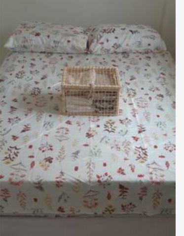Apartamento de 1/4 Aconchegante Em Salvador
