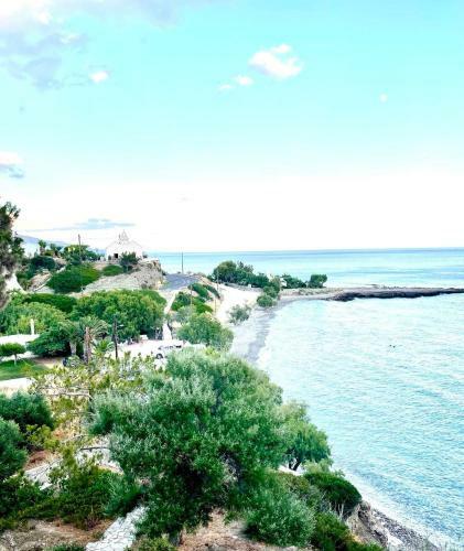 Bay Divino