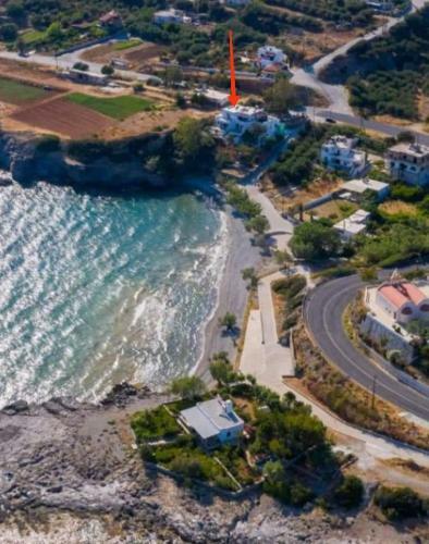 Bay Divino