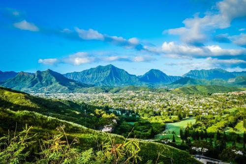 Waikiki 906