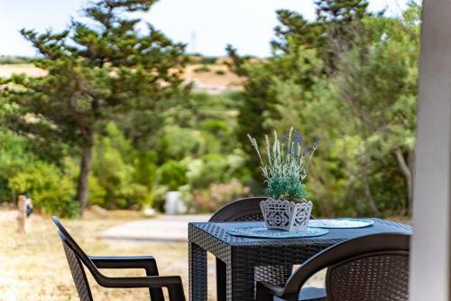 Apartamento Rustico 2 Con Vista