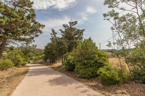 Apartamento Rustico 2 Con Vista