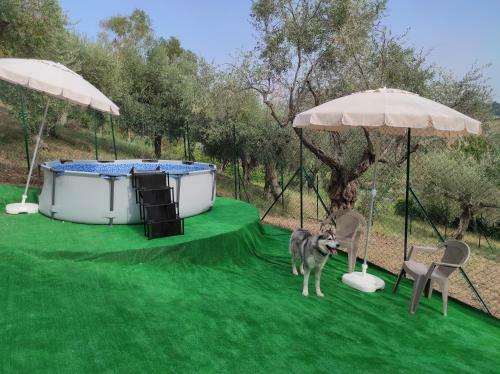 Apartamento Villa Maja Country House