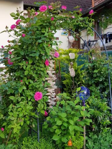 Apartamento Ferienwohnung Itzgrundruhe