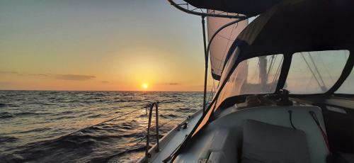Voilier