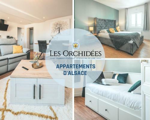 Apartamento Appartements Les Orchid�es D'alsace Saumur