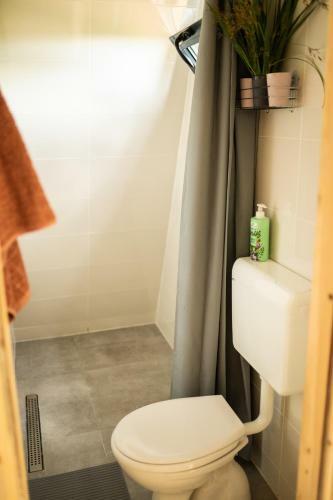 Hostal Glamping House Two Rivers