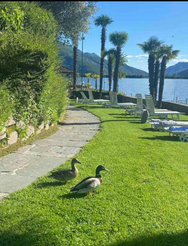 Apartamento Holiday On The Lake Lugano 4-16