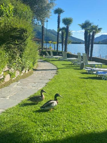 Apartamento Holiday On The Lake Lugano 4-16