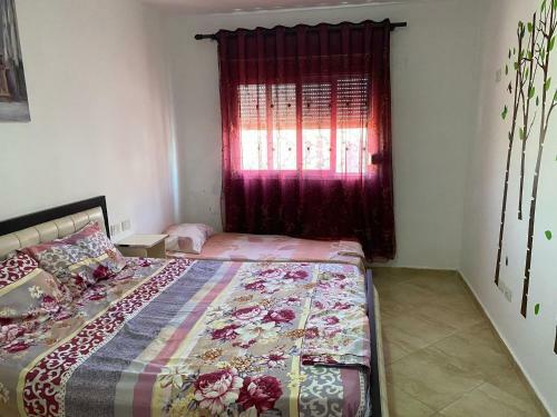 Apartment Shengjin
