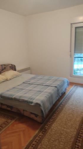 Apartman S&r