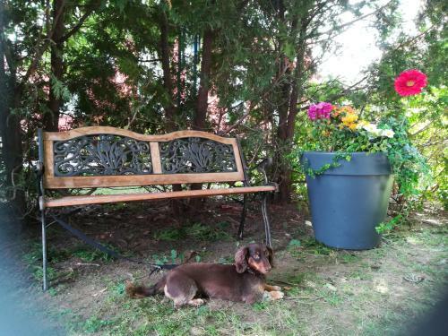 Hostal Vieux-old Farnham Appart Condotel1