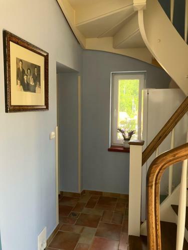 Apartm�n Viktoria