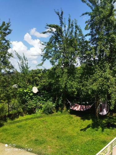 Tsikhisdziri Guest House
