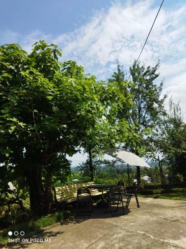 Tsikhisdziri Guest House