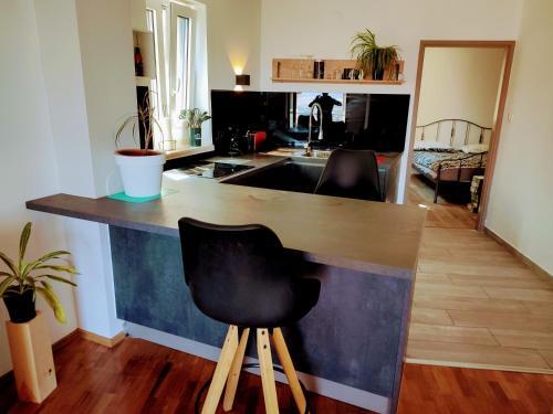 Apartamento Carmen Sylva