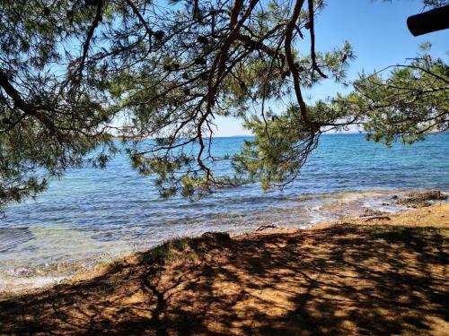 Apartmani Novak - Vir