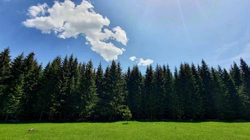 Rajska Suma