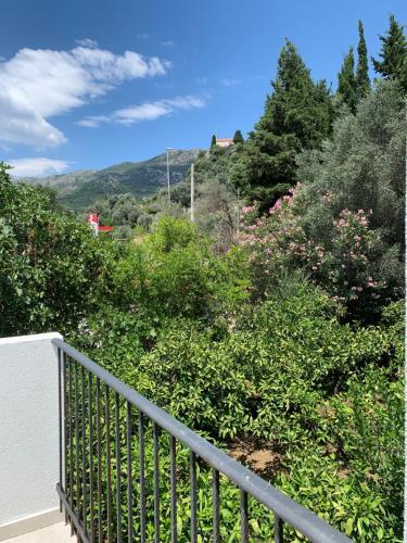 Apartment Centar