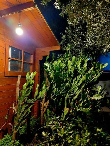 Hostal Villa Margot