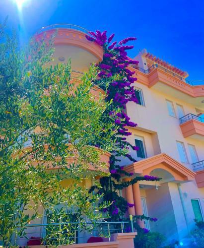 Apartments Dielli