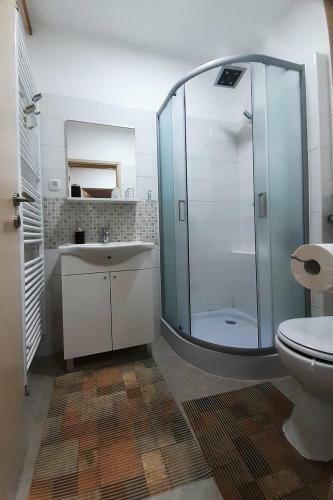Studio Apartman ?kudar
