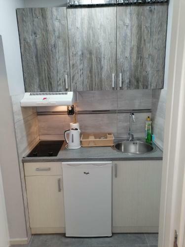 Belgrade Vracar Apartment