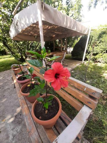 Agroturismo Kolkhis Ezo