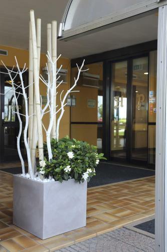 Hotel Albergo Papillon