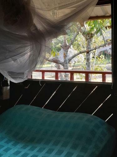 Bed & Breakfast Patamit�-caba�a