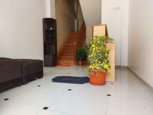 Hostal Qantu Ollantaytambo