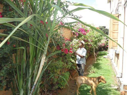 Hostal Meva Guesthouse