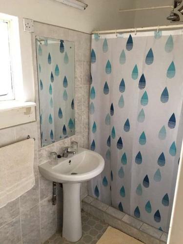 Hostal Green Tree Lodge