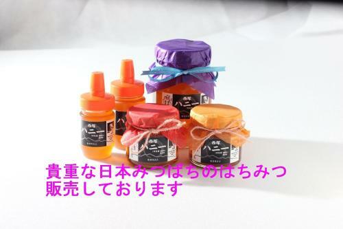 Hostal Guest House Mayuko No Yado - Vacation Stay 13243