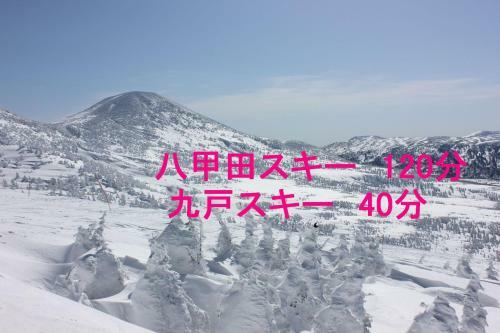 Hostal Guest House Mayuko No Yado - Vacation Stay 13217