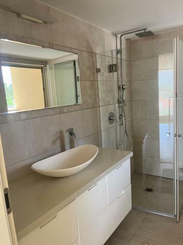 Luxury Villa In Raanana