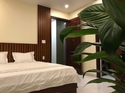 Saola Apartment & Hotel