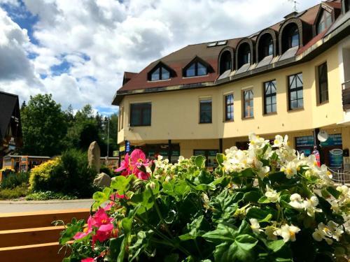 Apartamento Studio Harrachov 611-2