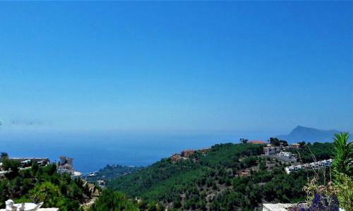 Altea Olivos G